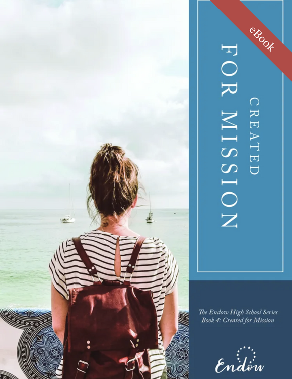 Created for Mission | High School Book IV eBook