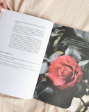 Santa Catalina de Siena | Encendiendo el mundo