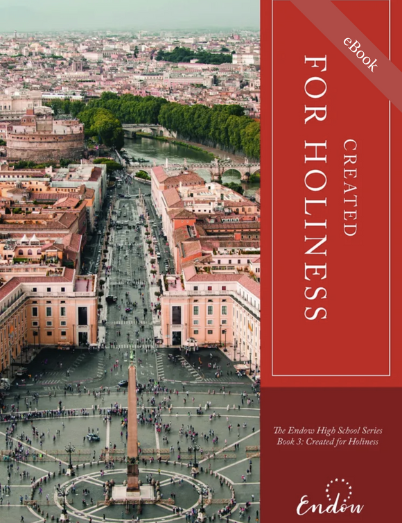 Created for Holiness I High School Book III eBook