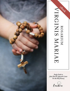 Rosarium Virginis Mariae eBook