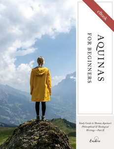 Aquinas for Beginners | Part II eBook