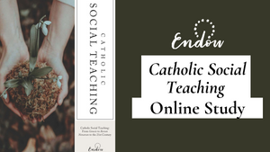 Catholic Social Teaching Online Study Recordings