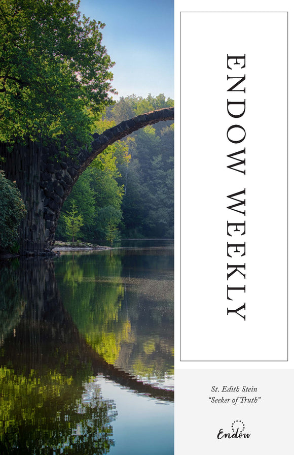 Endow Weekly: Seeker of Truth - St Edith Stein PDF
