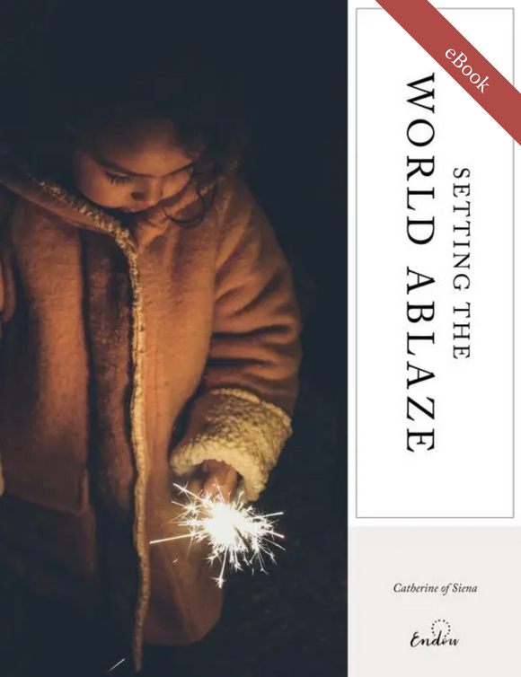 St. Catherine of Siena | Setting the World Ablaze eBook